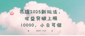 书旗2025新玩法，收益突破上限10000，小白可做-巅峰资源网