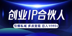 云帆·创业ip合伙人打造3.0，从0到1教你做网创，实现月入过W-巅峰资源网