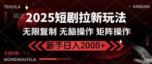 2025短剧拉新玩法，无需注册登录，无限0撸，无脑批量操作日入2000+-巅峰资源网