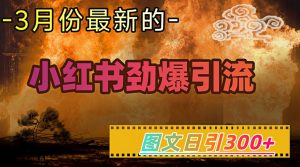 小红书超劲爆引流手段，图文日引300+轻松变现1W-巅峰资源网