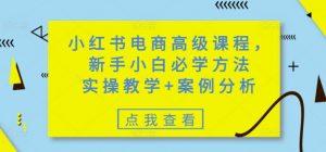 小红书电商高级课程，新手小白必学方法，实操教学+案例分析-巅峰资源网