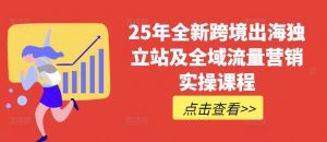 25年全新跨境出海独立站及全域流量营销实操课程，跨境电商独立站TIKTOK全域营销普货特货玩法大全-巅峰资源网