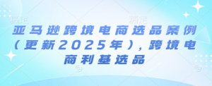 亚马逊跨境电商选品案例(更新2025年3月)，跨境电商利基选品-巅峰资源网