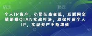 个人IP资产，小团队高变现，互联网全链路赚QIAN实战打法，助你打造个人IP，实现资产不断增值-巅峰资源网