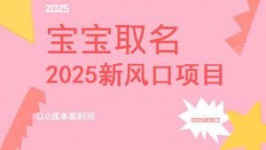 2025新风口项目宝宝取名，0成本高利润，附保姆级教程，月入过万不是梦-巅峰资源网