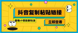 零撸小项目，新玩法，抖音复制链接0.07一条，20秒一条，无限制。-巅峰资源网