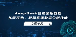 deepSeek快速驯服教程，从零开始，轻松掌握数据分析技能-巅峰资源网