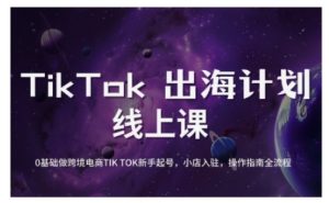 TikTok跨境电商新手起号与运营全攻略，0基础做跨境电商TIKTOK新手起号，小店入驻，操作指南全流程-巅峰资源网