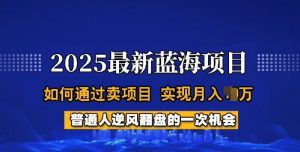 2025蓝海项目，普通人如何通过卖项目，实现月入过W，全过程【揭秘】-巅峰资源网