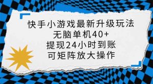 快手小游戏最新版升级玩法，新风口，无脑单机日入40+，可批量放大，小...-巅峰资源网