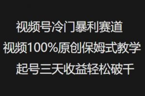 视频号冷门暴利赛道视频100%原创保姆式教学起号三天收益轻松破千-巅峰资源网