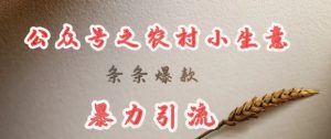 deepseek写农村小项目，条条爆款，暴力引流-巅峰资源网