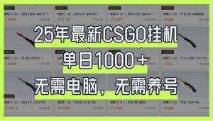 25年最新CSGO挂机系统，单日1000+，无需电脑，无需养号，0基础可上手-巅峰资源网