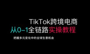 TikTok跨境电商从0-1全链路全方位实操教程，把握多元变化中的全球生意机会-巅峰资源网