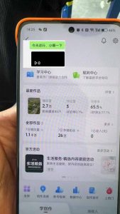抖音暴力涨粉技术：一天轻松1-10万粉，技术不确定真实性，自测-巅峰资源网