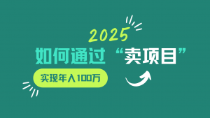 2025年如何通过“卖项目”实现年入100w-巅峰资源网