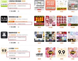 0成本虚拟项目实战手把手教你落地，单店月入5k-巅峰资源网