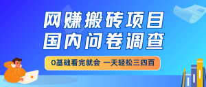 网赚搬砖项目，国内问卷调查，0基础看完就会 一天轻松三四百，靠谱副业...-巅峰资源网