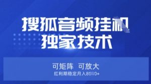 【搜狐音频挂G】独家技术，可矩阵可放大，红利期稳定月入8k【揭秘】-巅峰资源网