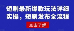 短剧最新爆款玩法详细实操，短剧发布全流程-巅峰资源网
