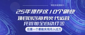 25年推荐这10个副业项目包含褂鸡类、代运营托管类、全自动打金类【揭秘】-巅峰资源网