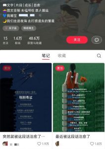 小红书治愈文案图文笔记，零门槛，一分钟制作轻松制作爆款作品月入万元-巅峰资源网