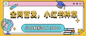 小红书种草，手机项目，日入3张，复制黏贴即可，可矩阵操作，动手不动脑【揭秘】-巅峰资源网