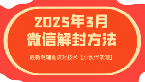 2025年3月微信解封方法 最新跳辅助核对技术【小伙伴亲测】-巅峰资源网