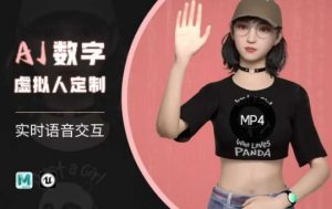 Ai数字人虚拟(智能体)实时语音交互特训营，​自行定制超写实角色AI数字人交互技术-巅峰资源网