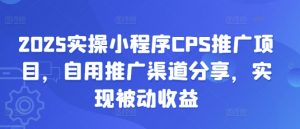 2025实操小程序CPS推广项目，自用推广渠道分享，实现被动收益-巅峰资源网