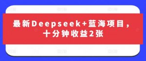 最新Deepseek+蓝海项目，十分钟收益2张-巅峰资源网