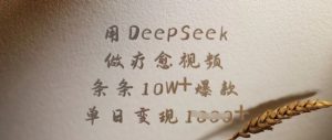 用DeepSeek做疗愈视频，条条10W+爆款，单日变现多张-巅峰资源网