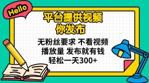 平台提供视频 你发布 无粉丝要求 不看视频播放量 发布就有钱 轻松一天300+-巅峰资源网