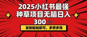 2025小红书最强种草项目，无脑日入300+，复制粘帖即可，多劳多得-巅峰资源网