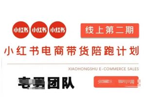 小红书电商带货课2期，月利润20个的小红书电商的有货源，无货源，虚拟产品，付费投流等整套玩法-巅峰资源网