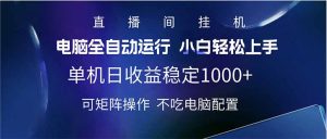 2025直播间最新玩法单机日入1000+ 全自动运行 可矩阵操作-巅峰资源网