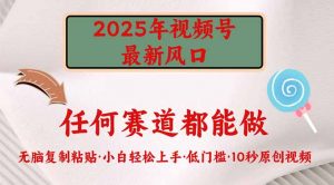 2025年视频号新风口，低门槛只需要无脑执行-巅峰资源网