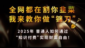 全网都在割你韭菜，我来教你做镰刀,2025普通人如何通过知识付费，实现财F自由【揭秘】-巅峰资源网