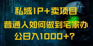 私域IP+卖项目，普通人如何做到宅家办公实现日入1000+-巅峰资源网