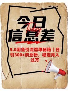 5.0闲鱼引流爆单秘籍，日引300+创业粉，稳定月入过W-巅峰资源网