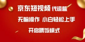 京东短视频代运营，全程喂饭，小白轻松上手【揭秘】-巅峰资源网