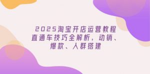 2025淘宝开店运营教程更新，直通车技巧全解析，动销、爆款、人群搭建-巅峰资源网