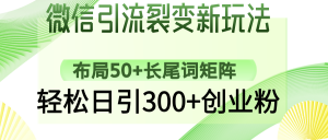 微信引流裂变新玩法：布局50+长尾词矩阵，轻松日引300+创业粉-巅峰资源网