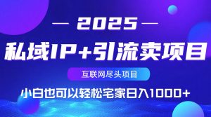 私域IP+引流卖项目，小白也可以做到轻松宅家日入1000+-巅峰资源网