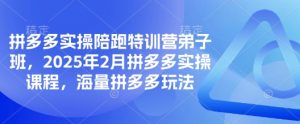 拼多多实操陪跑特训营弟子班，2025年2月拼多多实操课程，海量拼多多玩法-巅峰资源网