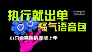 爆火全网的开车导航骚气语音包,只要执行就出单，小白看完课程就能实操...-巅峰资源网