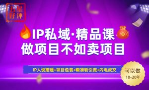 2025年“IP私域·密训精品课”，日赚3000+小白避坑年赚百万，暴力引流...-巅峰资源网