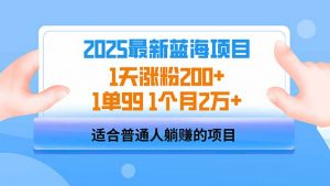 2025蓝海项目 1天涨粉200+ 1单99 1个月2万+-巅峰资源网