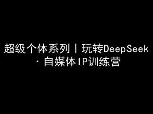 超级个体系列，玩转DeepSeek·自媒体IP训练营，deepseek教程-巅峰资源网