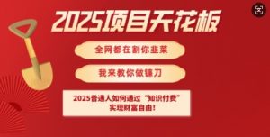2025项目天花板普通人如何通过知识付费，实现财F自由【揭秘】-巅峰资源网